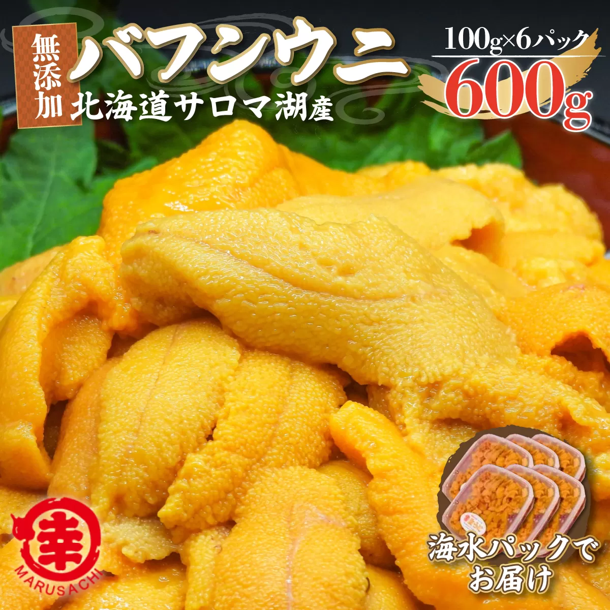 【先行予約】サロマ湖産 無添加 バフンウニ 600g（100g×6）海水パック SRMA020