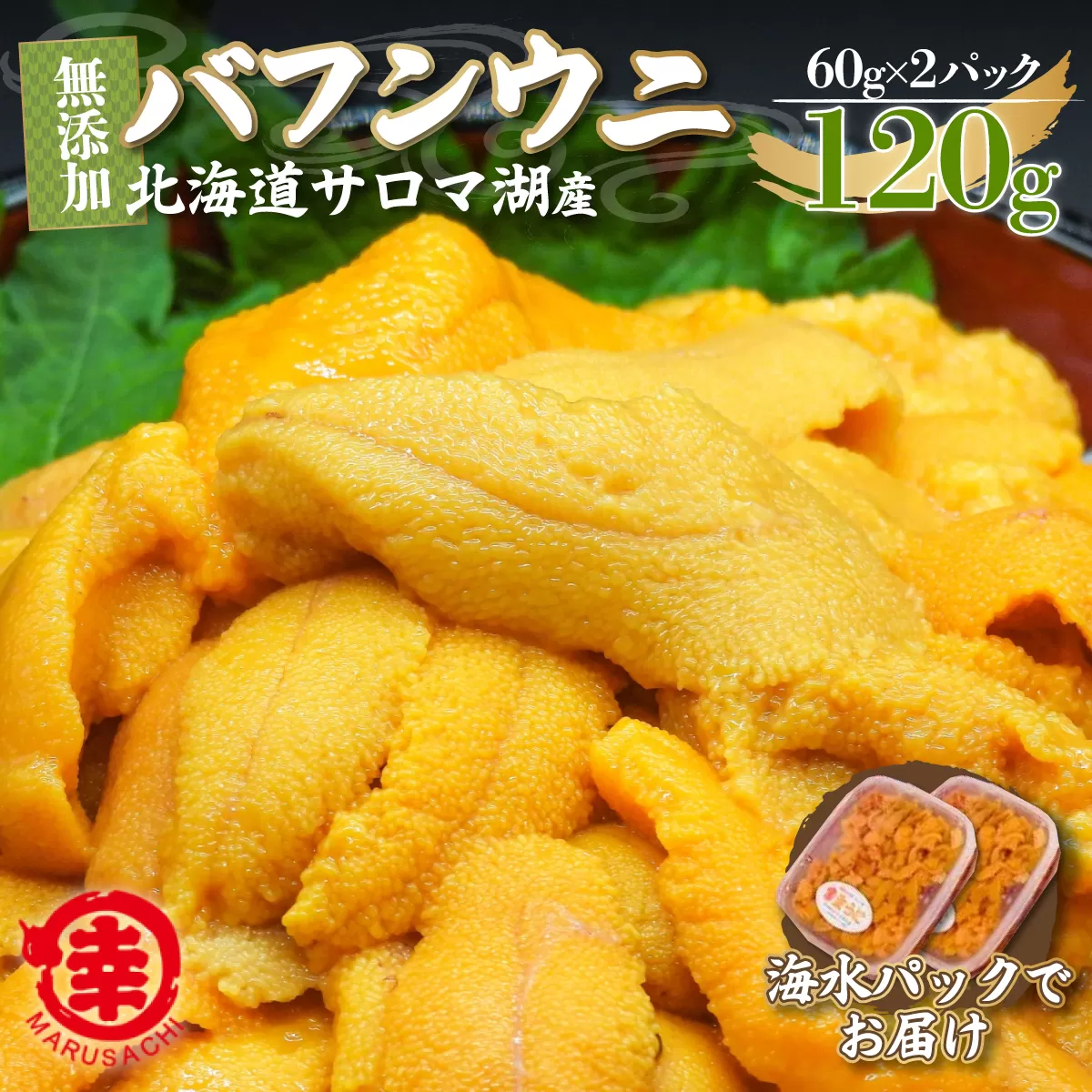 【先行予約】サロマ湖産 無添加 バフンウニ 120g（60g×2）海水パック SRMA021