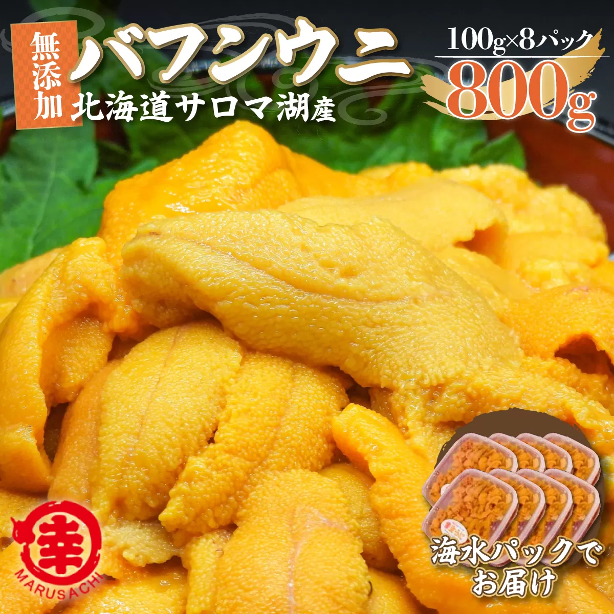 【先行予約】サロマ湖産 無添加 バフンウニ 800g（100g×8）海水パック SRMA024