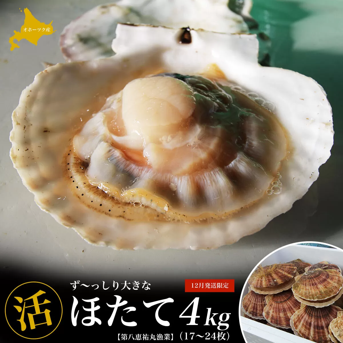 オホーツク産 ずっしり大きな『活』 ほたて 4kg（17〜24枚）12月発送限定 SRMN022
