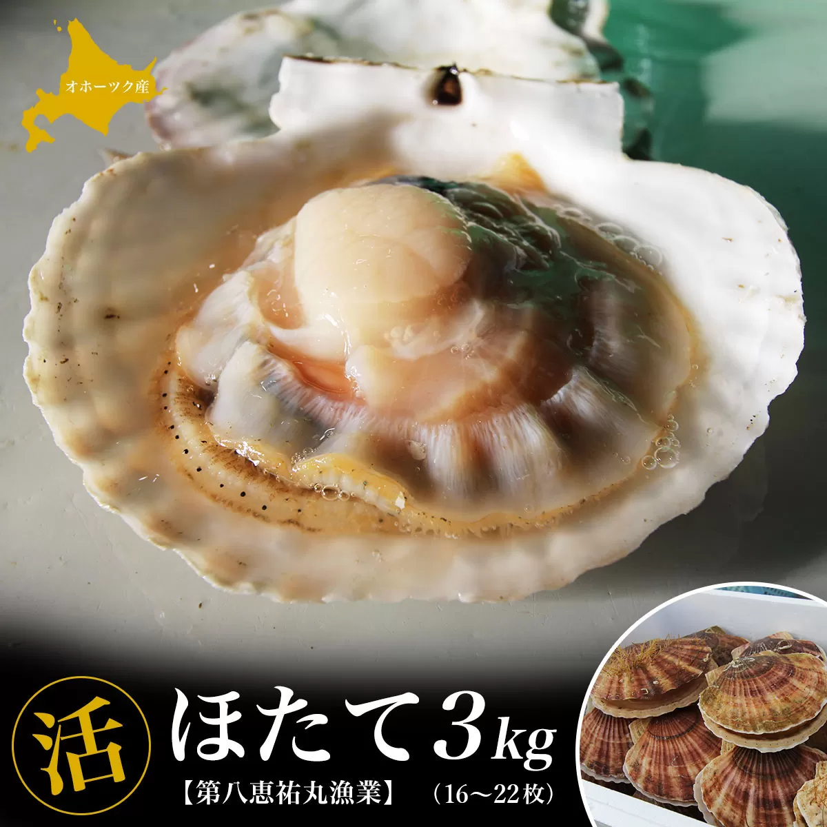 オホーツク産 『活』 ほたて 3kg（16〜22枚） SRMN001