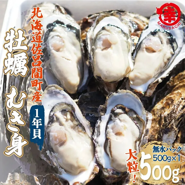 【先行受付】カキ むき身 大粒 1年貝 500g（500g無水パック×1） 佐呂間産（10月中旬以降順次発送開始予定） SRMA043