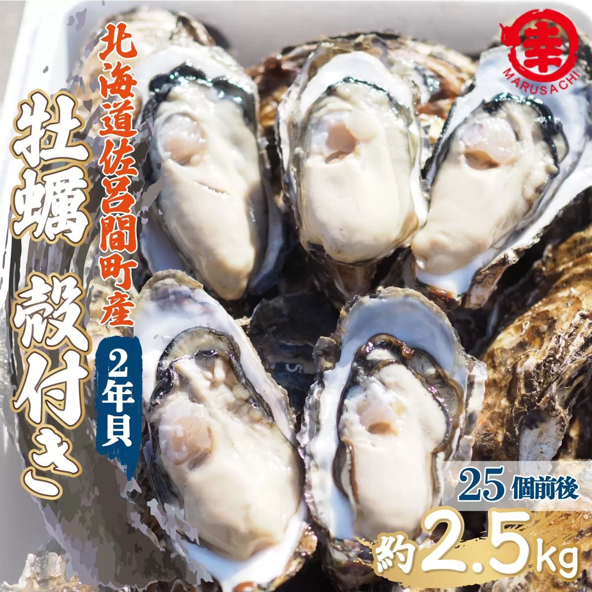 【先行予約】【10月中旬から順次発送】カキ 殻付き 2年貝 約2.5kg（25個前後） 佐呂間産 SRMA002