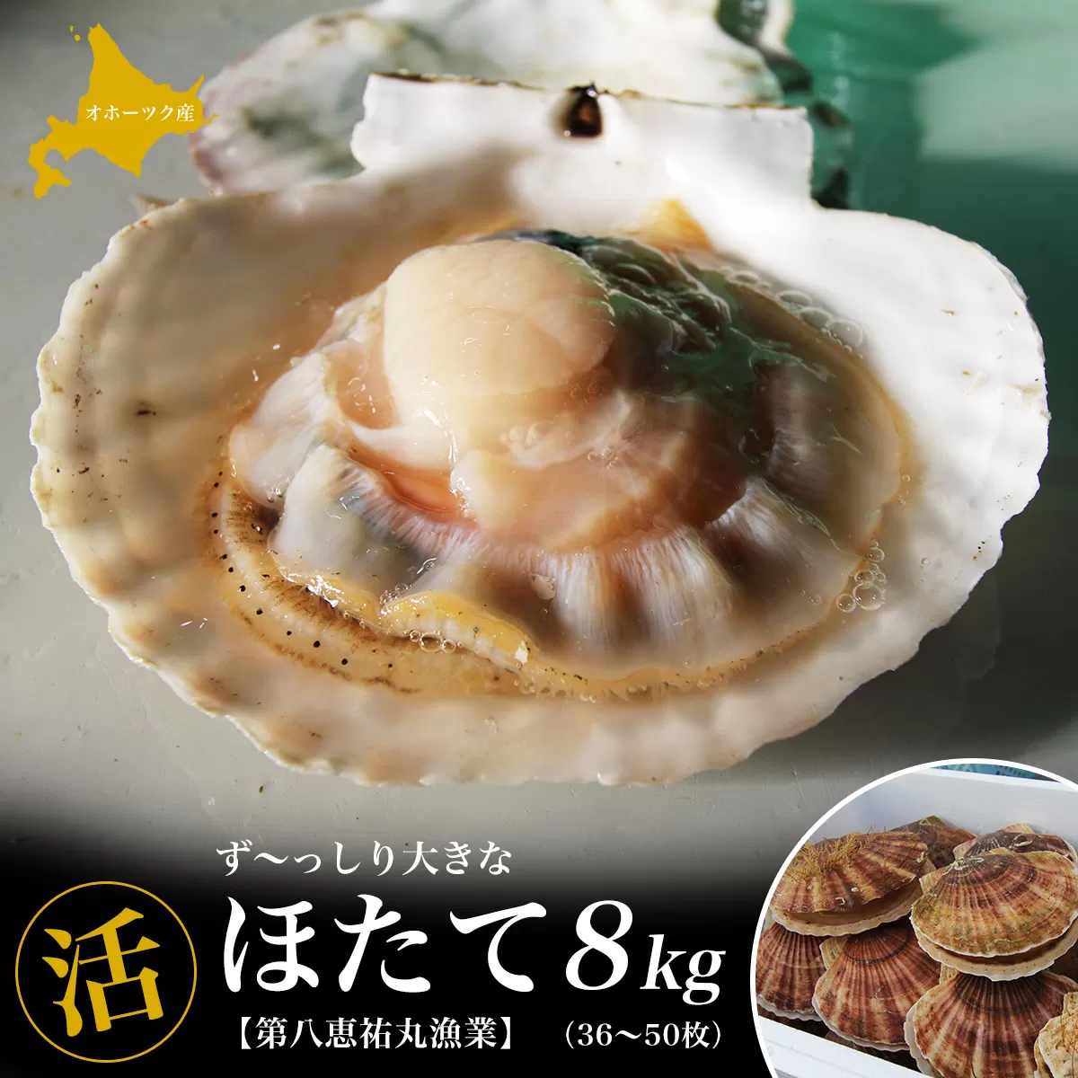 オホーツク産 ずっしり大きな『活』 ほたて 8kg（36〜50枚） SRMN002