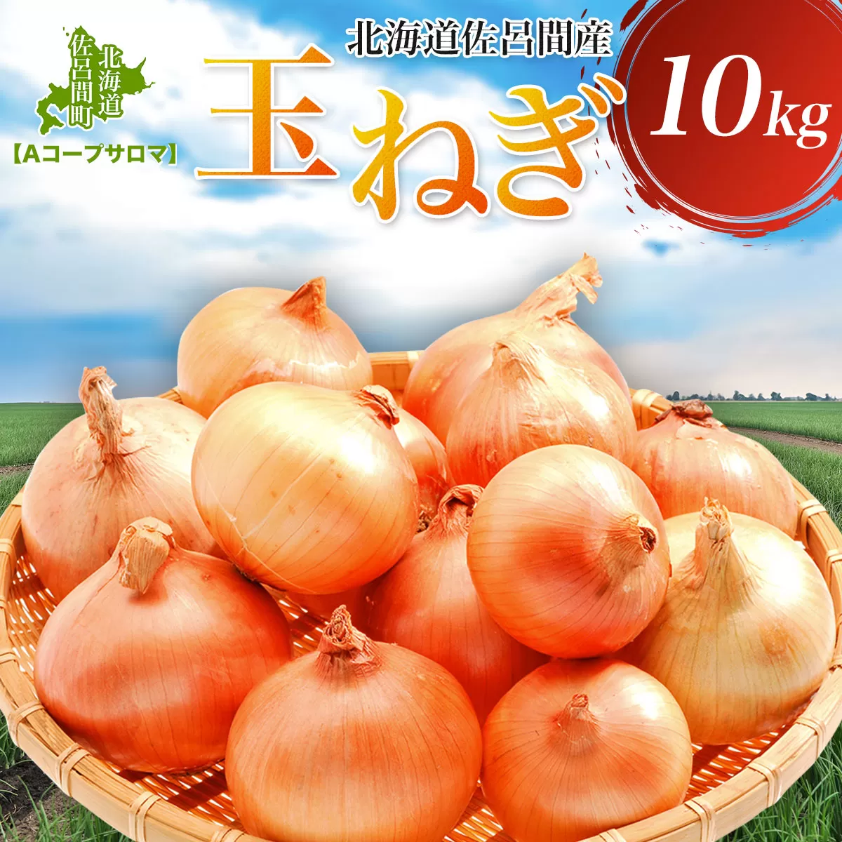玉ねぎ 10kg 北海道 佐呂間産（2025年10月出荷開始先行予約） SRMM019