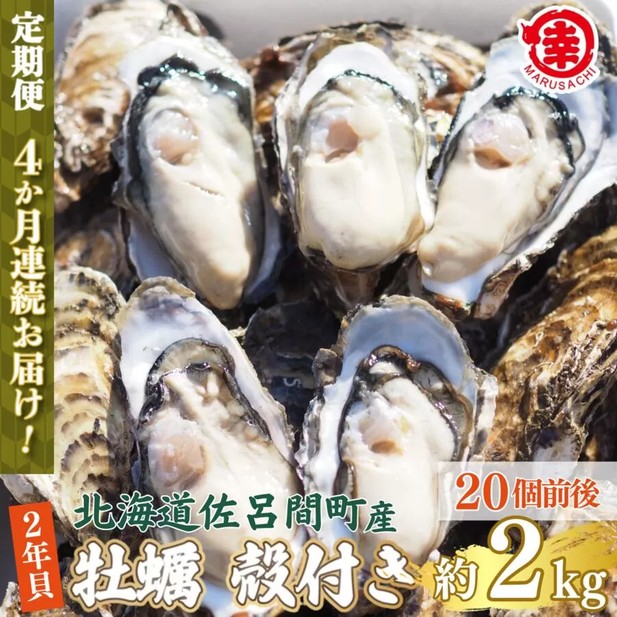 【先行予約】【10月中旬から順次発送】カキ 殻付き 2年貝 約2kg（20個前後） 佐呂間産 ［4回定期便］【 ふるさと納税 人気 おすすめ ランキング 牡蠣 カキ かき 貝 牡蠣貝 かき貝 カキ貝 殻付き 殻付 殻付き牡蠣 殻付きカキ グルメ ギフト 贈答 贈り物 BBQ バーベキュー 貝類 冷蔵 海鮮 定期便 オホーツク 北海道 佐呂間町 送料無料 】 SRMA040