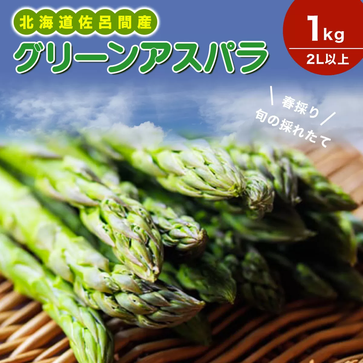 春採りグリーンアスパラ 1kg 2L以上 佐呂間町産（2027年3月末より順次発送予定） SRMM033