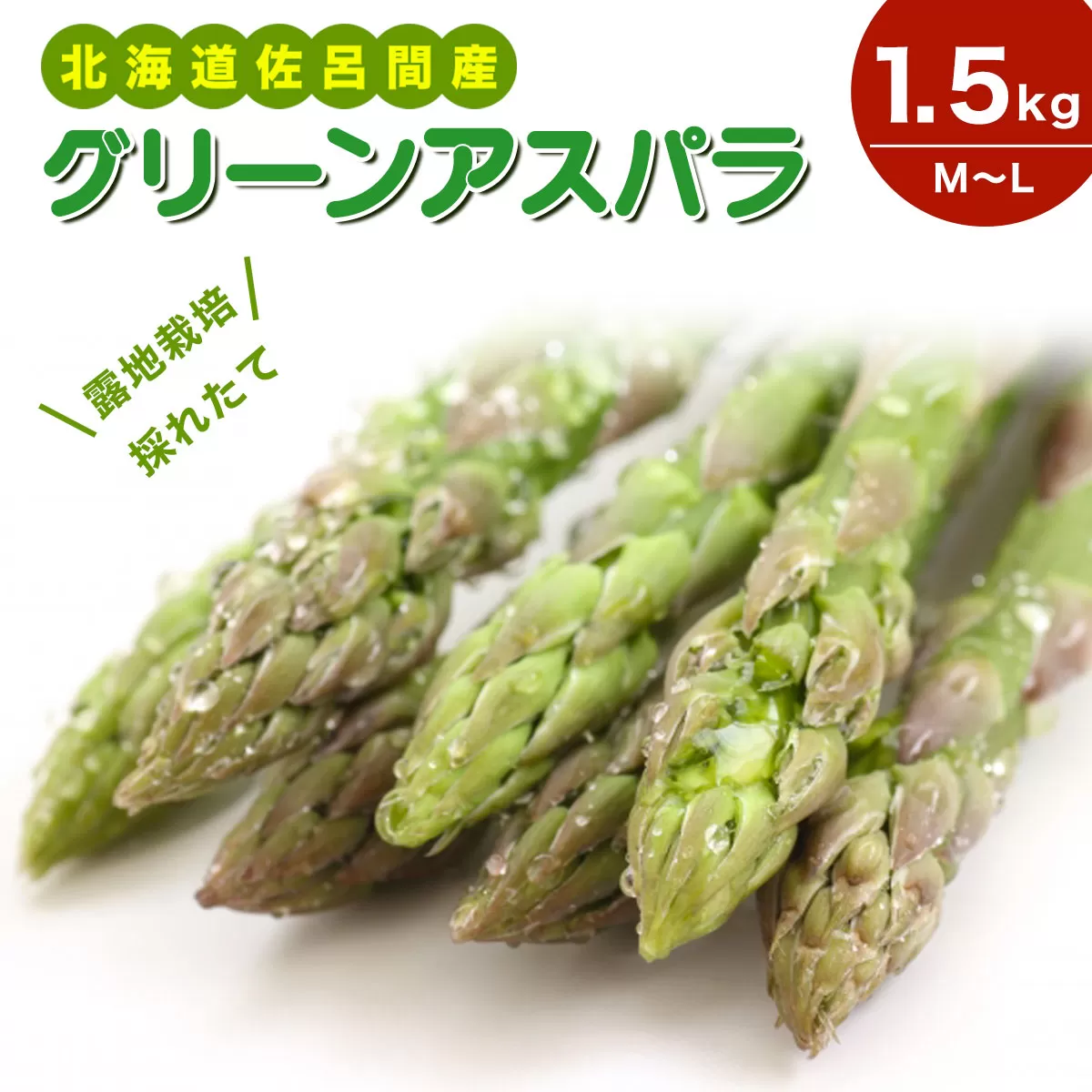 露地栽培 グリーンアスパラ 1.5kg （M〜L） 北海道 佐呂間産（2025年5月出荷開始先行予約） SRMM018