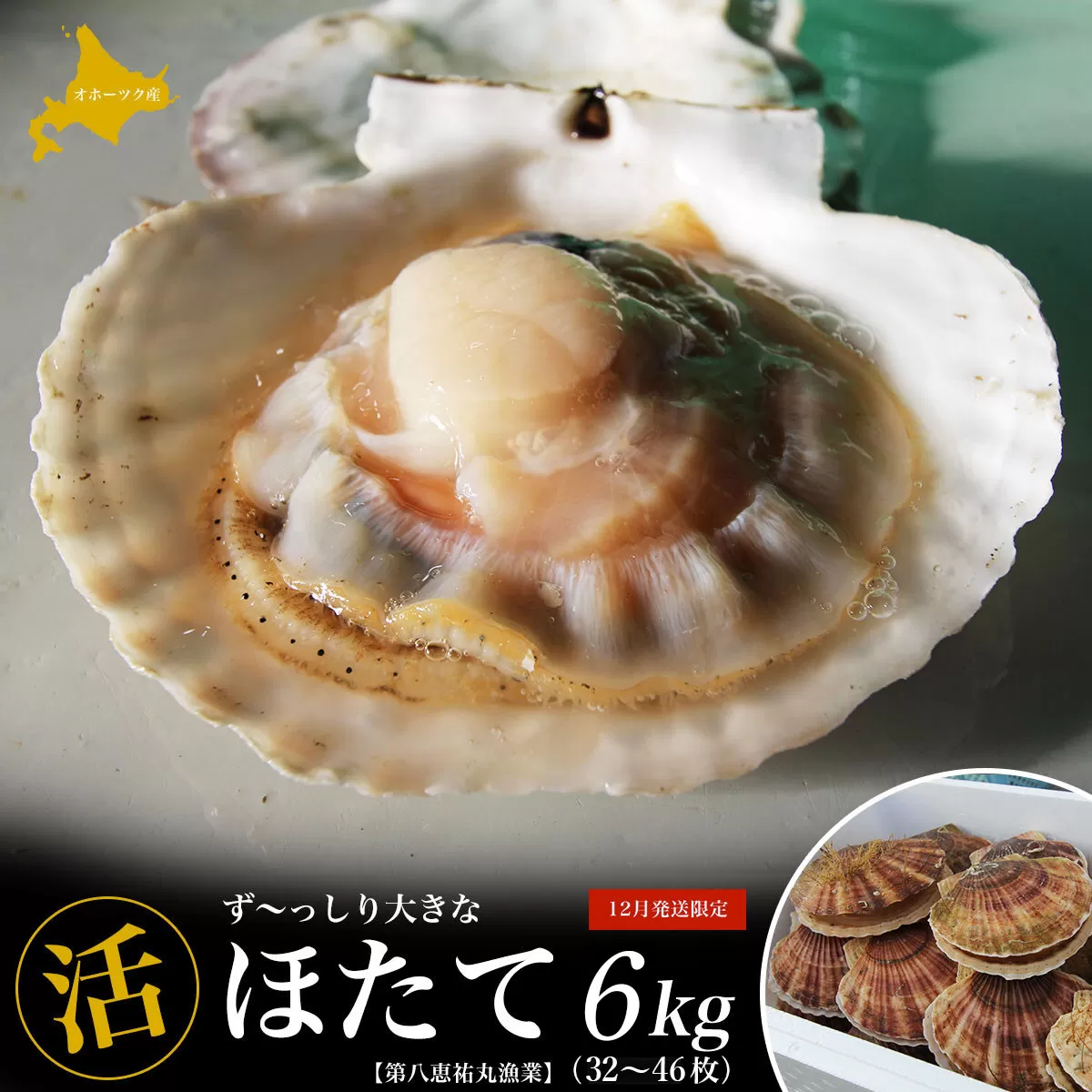 【12月発送限定】オホーツク産『活』 ほたて 6kg（32〜46枚） SRMN029 
