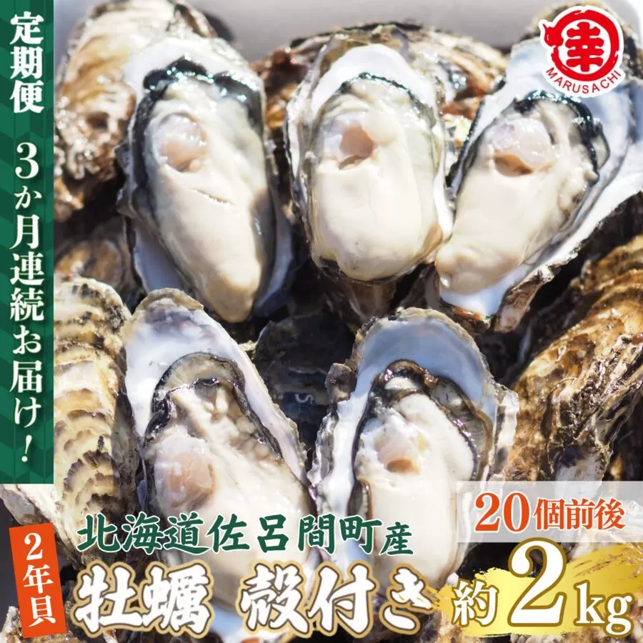 【先行予約】【10月中旬から順次発送】カキ 殻付き 2年貝 約2kg（20個前後） 佐呂間産 ［3回定期便］ 【 ふるさと納税 人気 おすすめ ランキング 牡蠣 カキ かき 貝 牡蠣貝 かき貝 カキ貝 殻付き 殻付 殻付き牡蠣 殻付きかき カキ殻付き グルメ ギフト 贈答 贈り物 BBQ バーベキュー 貝類 冷蔵 海鮮 定期便 オホーツク 北海道 佐呂間町 送料無料 】 SRMA039