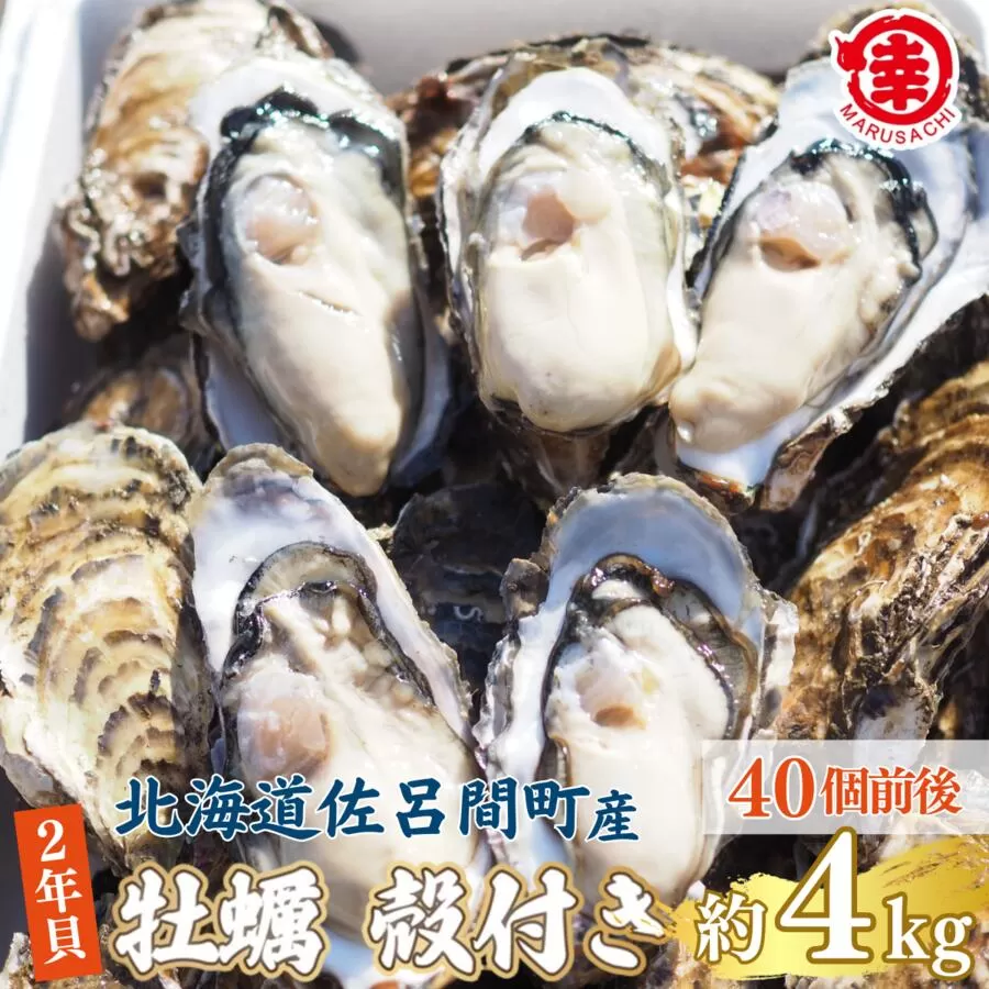 【先行予約】【10月中旬から順次発送】カキ 殻付き 2年貝 約4kg（40個前後） 佐呂間産 【 ふるさと納税 人気 おすすめ ランキング 牡蠣 カキ かき 貝 牡蠣貝 かき貝 カキ貝 殻付き 殻付 殻付き牡蠣 殻付きカキ 殻付きかき グルメ ギフト 贈答 贈り物 BBQ バーベキュー 貝類 冷蔵 海鮮 オホーツク 北海道 佐呂間町 送料無料 】 SRMA041