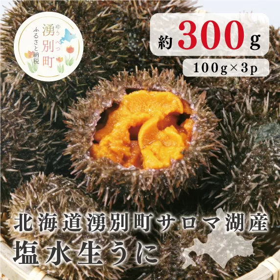 【国内消費拡大求む】≪先行予約≫北海道湧別町サロマ湖産　塩水生うに100g×3 