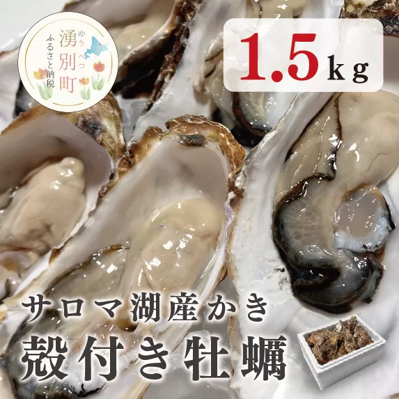 湧別町サロマ湖産殻付きカキ1.5kg　牡蠣 海鮮 魚介 国産 貝付き 生牡蠣 生食 焼き牡蠣 蒸し牡蠣