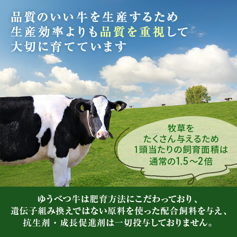 北海道産 ゆうべつ牛モモ肉 切り落とし700g （350g×2パック