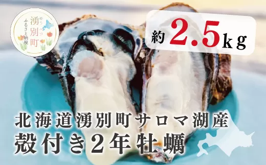 【国内消費拡大求む】≪先行予約≫北海道湧別町サロマ湖産　殻付き牡蠣2.5㎏