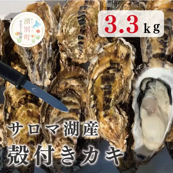 【国内消費拡大求む】≪先行予約1月中旬から発送≫サロマ湖産殻付きカキ3.3kg