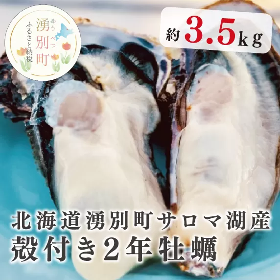 【国内消費拡大求む】≪先行予約≫北海道湧別町サロマ湖産　殻付き2年牡蠣3.5kg（約27〜35個入）