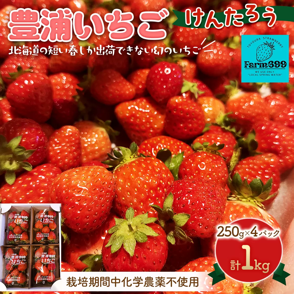 【2026年4月下旬以降出荷】豊浦いちご 250ｇ×4パック TYUAH003