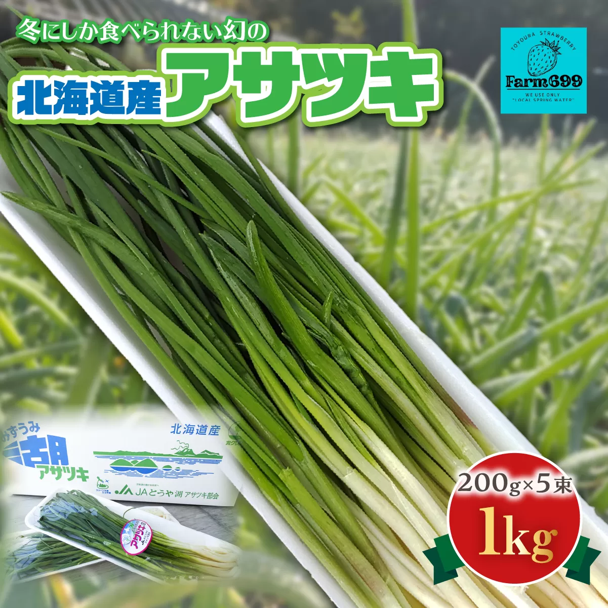 北海道産アサツキ 1kg TYUAH004
