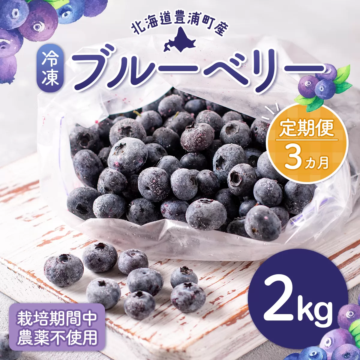 【定期便3カ月】北海道 豊浦町産 冷凍 ブルーベリー 2kg 栽培期間中農薬不使用 TYUS009