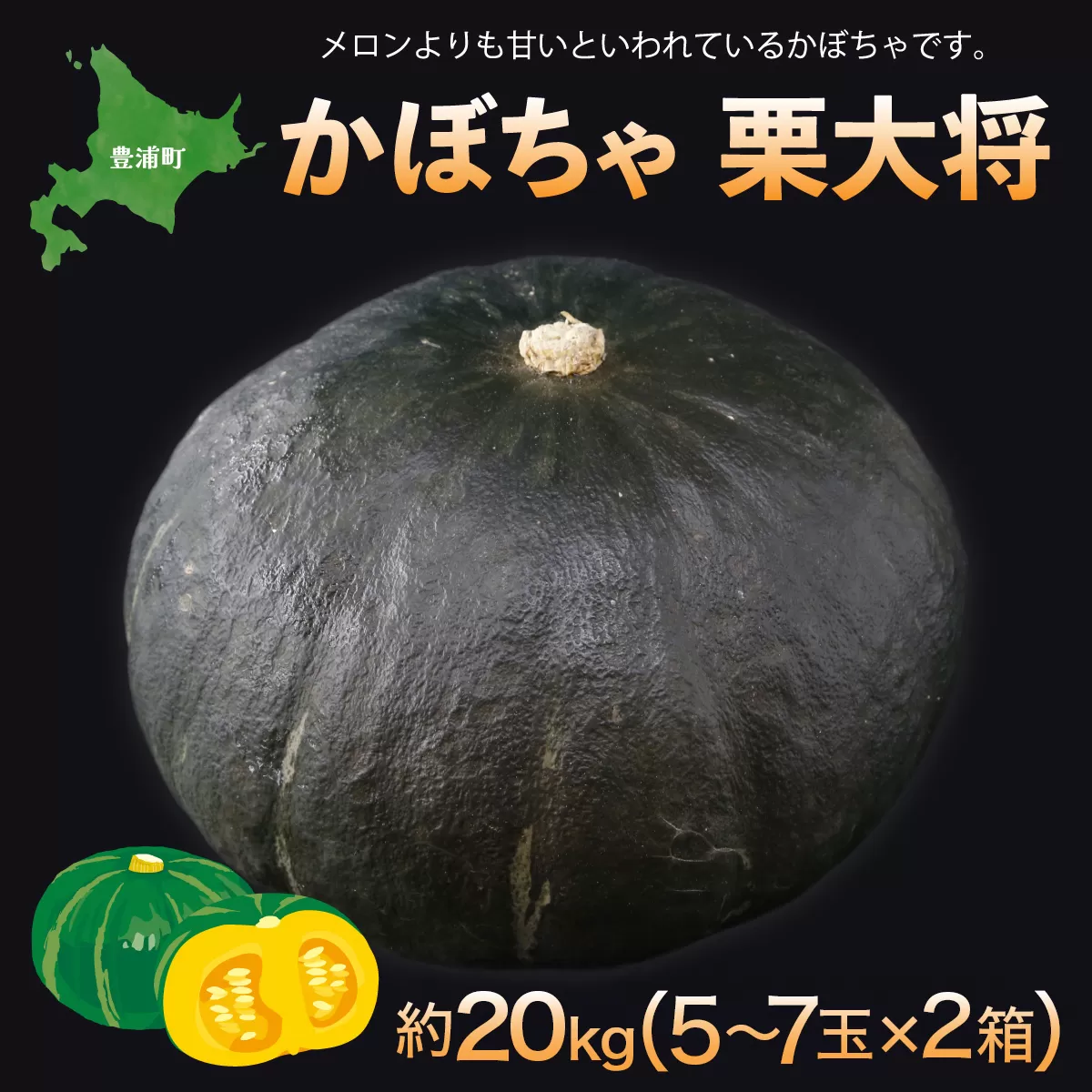 【先行予約】北海道 豊浦町 かぼちゃ 栗大将 約20kg （1箱5～7玉）約10kg×2箱（2025年9月の収穫後より順次発送） TYUL033