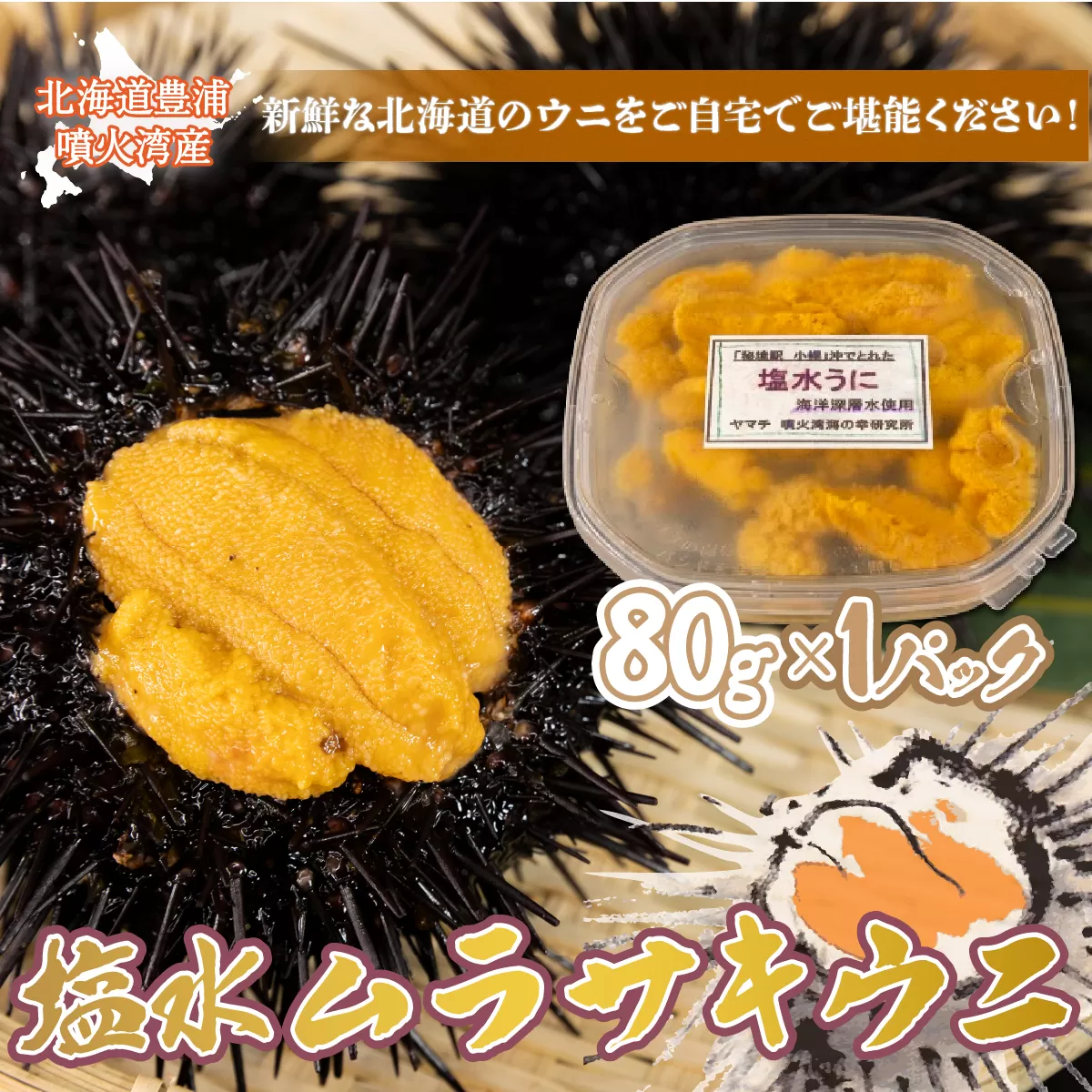 【令和7年度発送先行予約】うに 塩水 ムラサキウニ 80g 北海道 豊浦 噴火湾 雲丹【配送不可地域：離島】 TYUR020