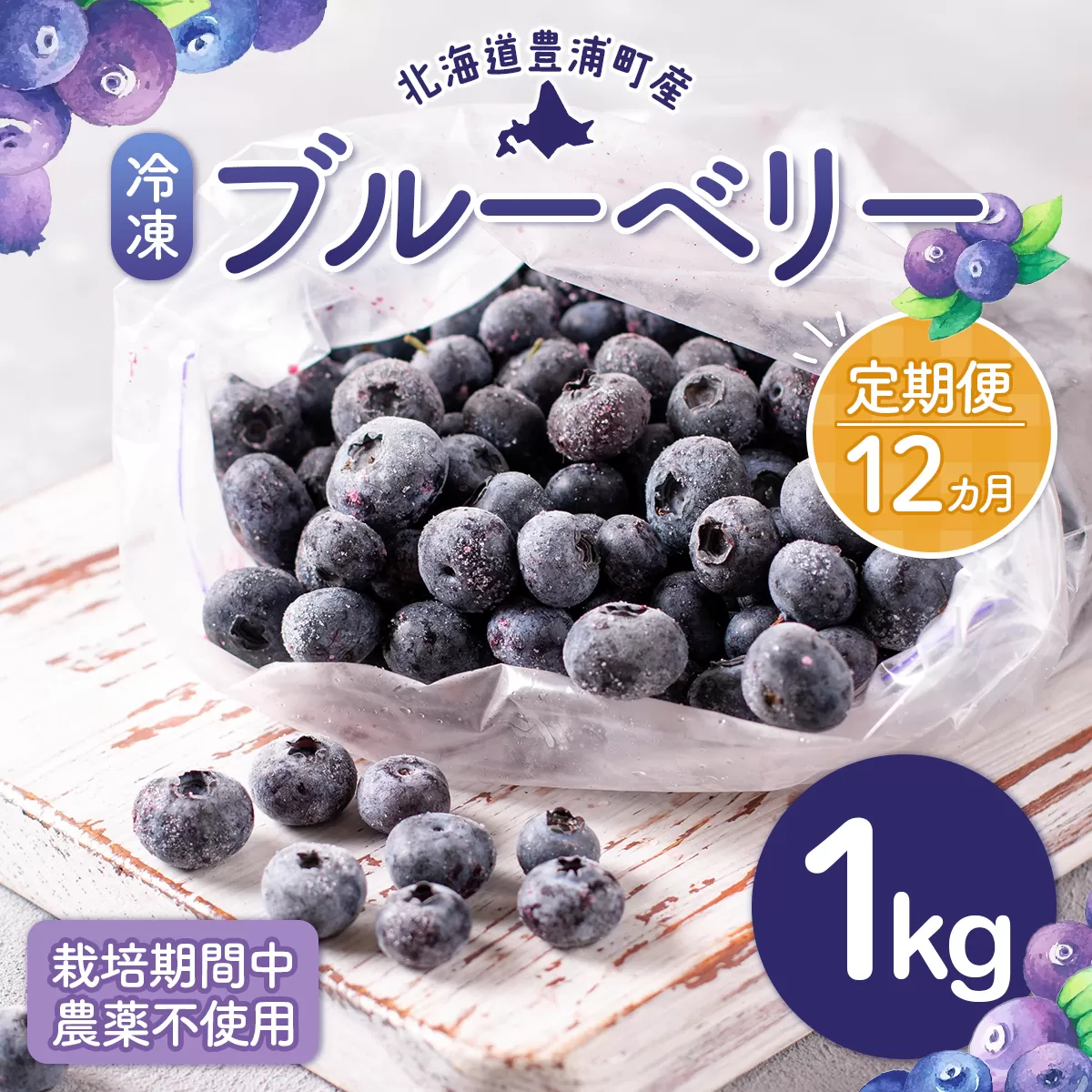 【定期便12カ月】北海道 豊浦町産 冷凍 ブルーベリー 1kg 栽培期間中農薬不使用 TYUS003