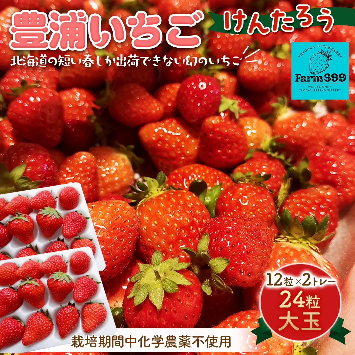 【2026年4月下旬以降出荷】豊浦いちご 大玉12粒×2トレー TYUAH001