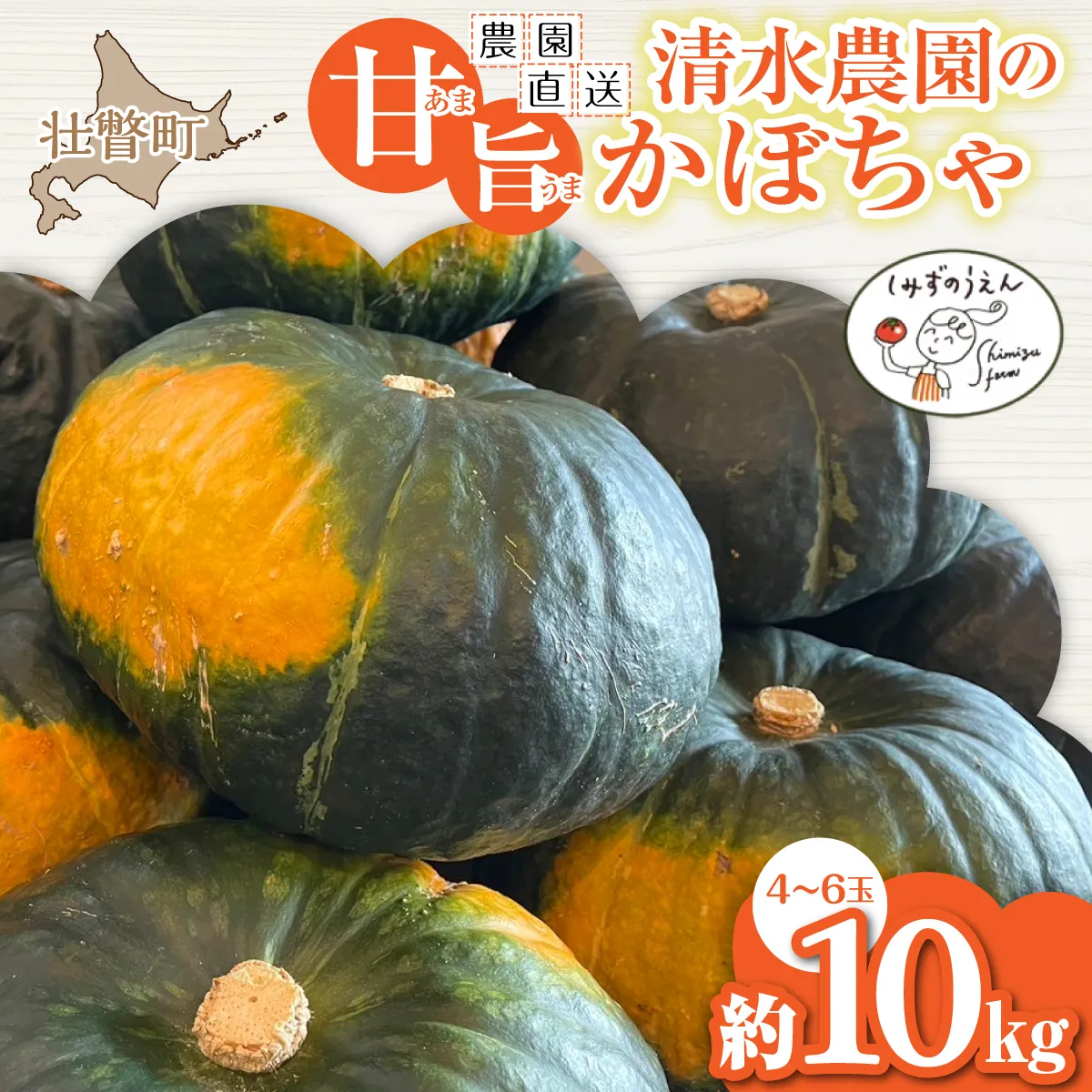 ＜2026年9月初旬よりお届け＞【農園直送】清水農園のかぼちゃ(甘旨）約10kg (4〜6玉) SBTO013