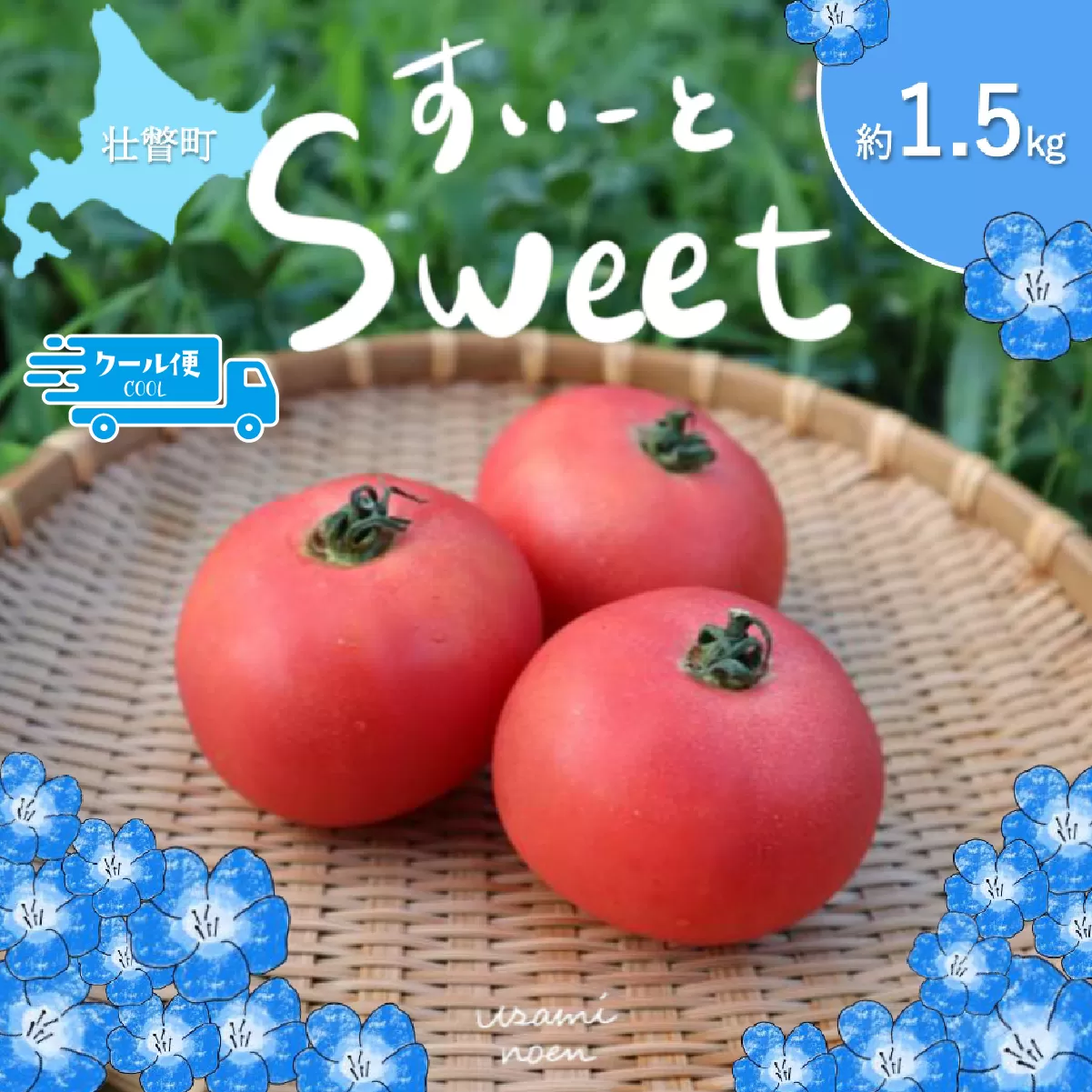 【2026年予約】極旨トマトクール便 北海道壮瞥町産 スイート1.5kg 中玉トマト SBTAJ017