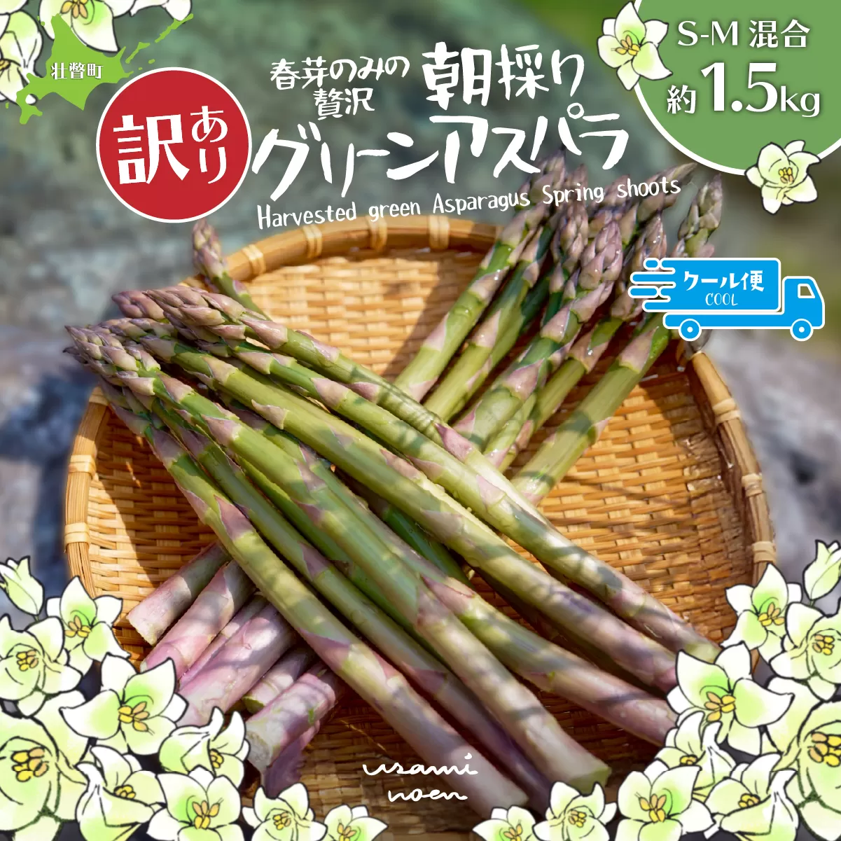 【2026年予約】【訳あり】朝採りグリーンアスパラ（春芽）S-M混合 約1.5kg 北海道壮瞥町産 SBTAJ039