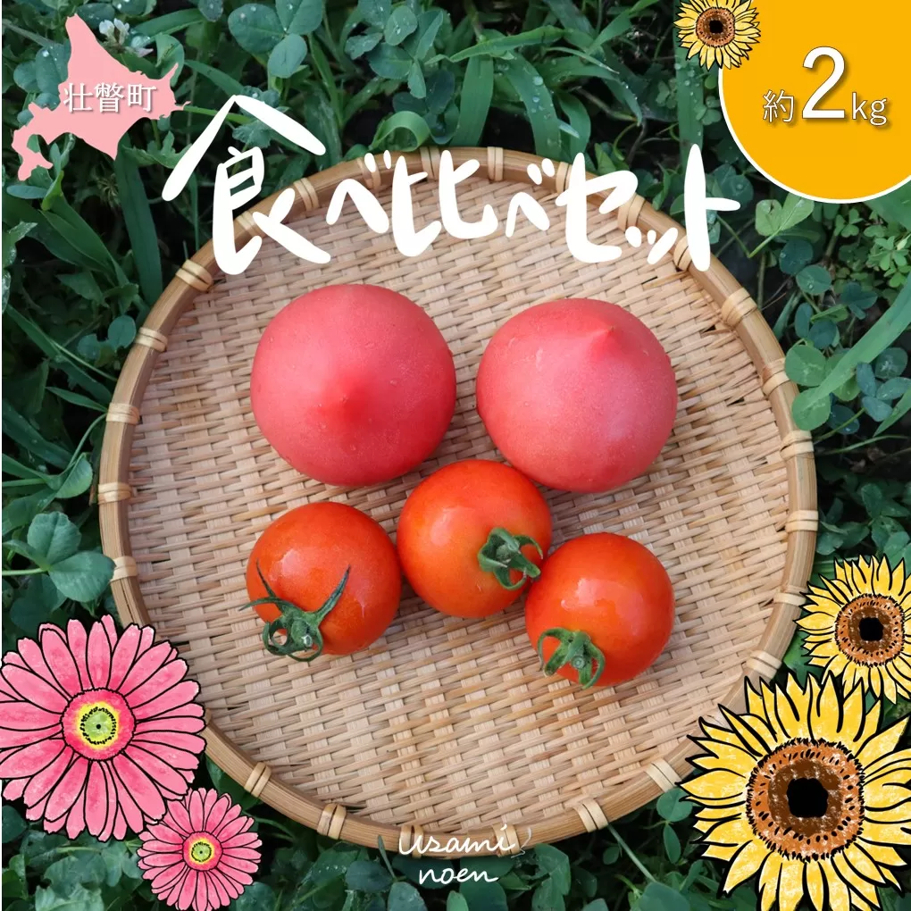 北海道壮瞥町産 トマト食べ比べ2種セット2kg(ラビットゴッホ＆ルネッサンス) SBTAJ013