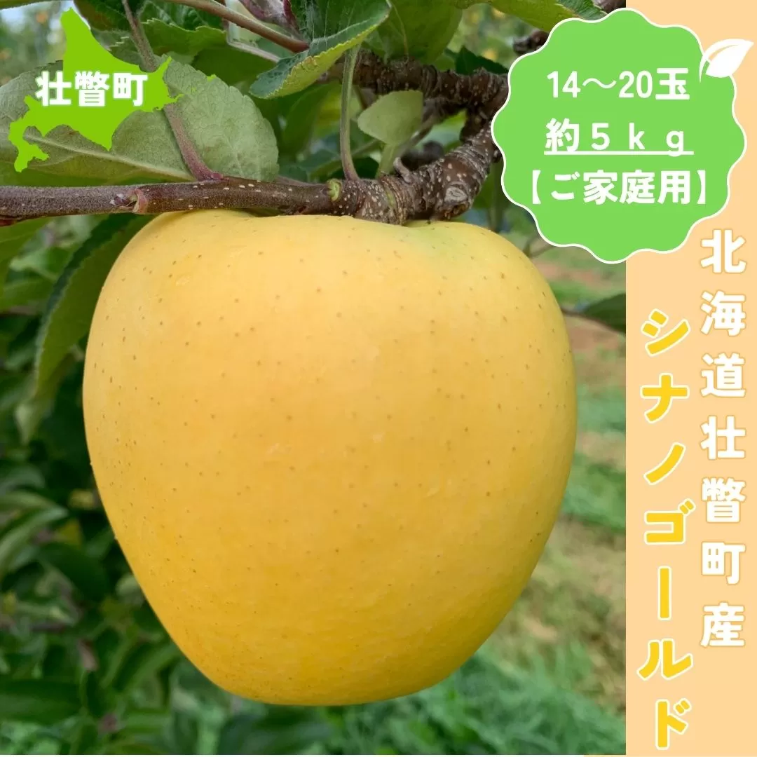 ＜11月下旬頃よりお届け＞北海道壮瞥産りんご シナノゴールド 約5kg(14〜20玉)【ご家庭用】 SBTK017