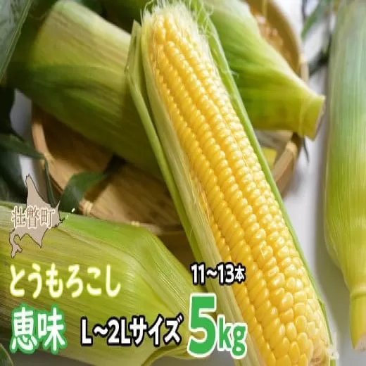 ＜2025年8月初旬よりお届け＞約5kg！北海道壮瞥産とうもろこし（恵味）【Ｌ〜2Lサイズ 11〜13本】 SBTP002