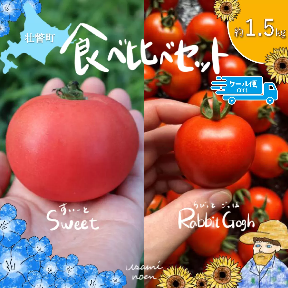 【2026年予約】極旨トマトクール便 食べ比べ2種セット 北海道壮瞥町産 スイート＆ラビットゴッホ 1.5kg 中玉トマト SBTAJ027