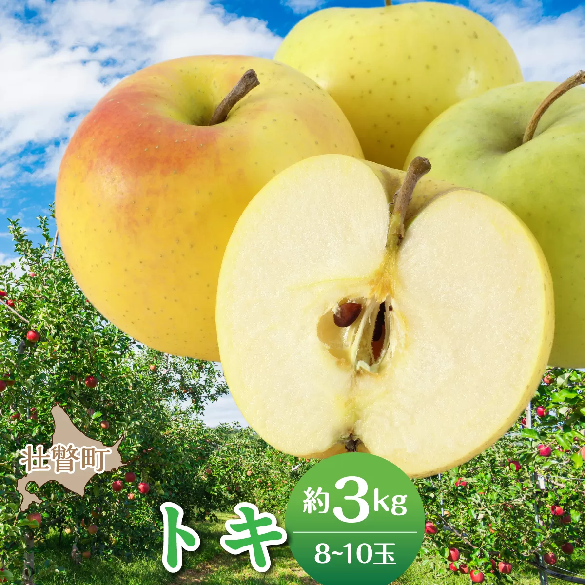 【先行予約】＜2026年10月中旬よりお届け＞北海道壮瞥町　りんご　品種名「トキ」8～10玉約3kg SBTF016
