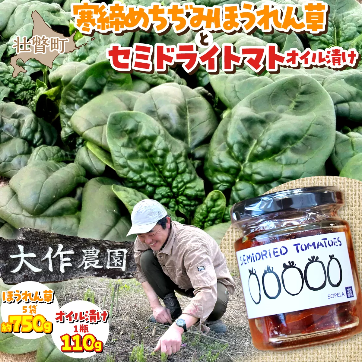 ＜2026年12月上旬頃よりお届け＞北海道壮瞥産 大作農園の「寒締めちぢみほうれん草」5袋と「セミドライトマトオイル漬け」1瓶（110g）のセット SBTR007