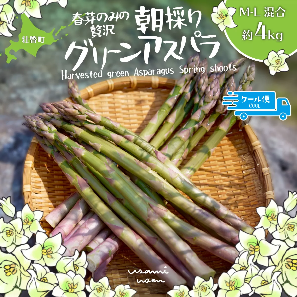 【2026年予約】朝採りグリーンアスパラ（春芽）M-L混合 約4kg 北海道壮瞥町産 SBTAJ036