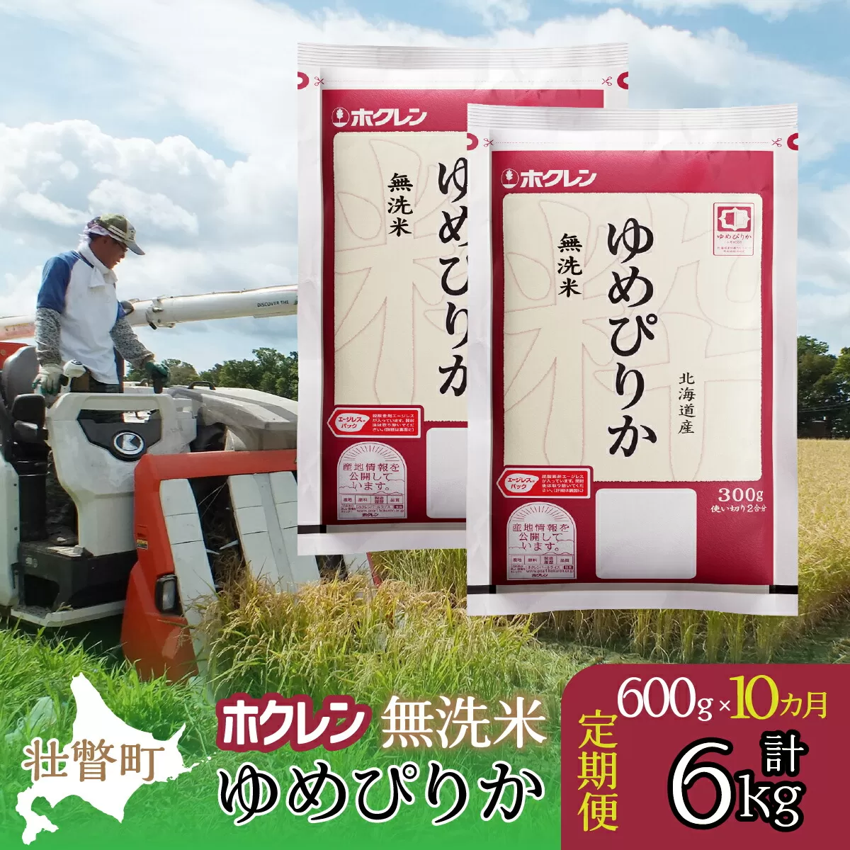 【令和6年産米】【10ヶ月定期配送】（無洗米600g）ホクレンゆめぴりか SBTD155
