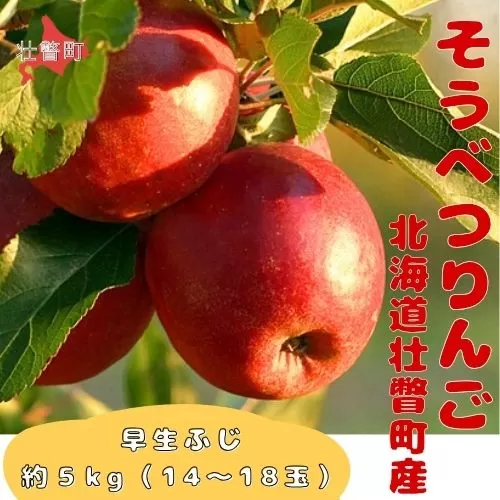 ファームアグリエイトのりんご「早生ふじ」 約5kg（14～18玉） SBTB012