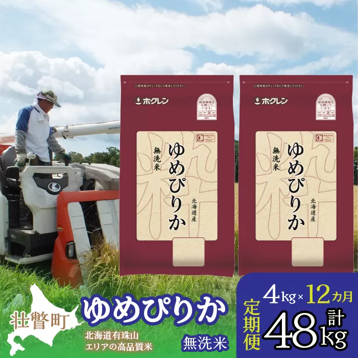【令和6年産 1年定期配送】（無洗米4kg）ホクレンゆめぴりか（無洗米2kg×2袋） SBTD052