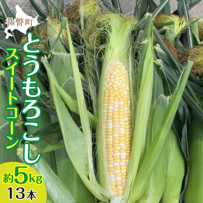 ＜2025年8月上旬よりお届け＞北海道壮瞥産 とうもろこし（スイートコーン）13本 約5kg SBTN001
