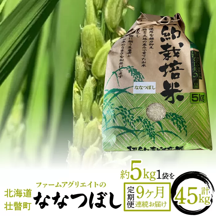 令和6年産米 ファームアグリエイトのななつぼし　約5kg×1袋を9ヶ月連続お届け SBTB004
