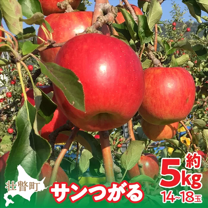 ＜2025年9月下旬〜10月中旬頃までのお届け＞北海道壮瞥町　りんご　品種名「サンつがる」14~18玉約5kg  SBTF010