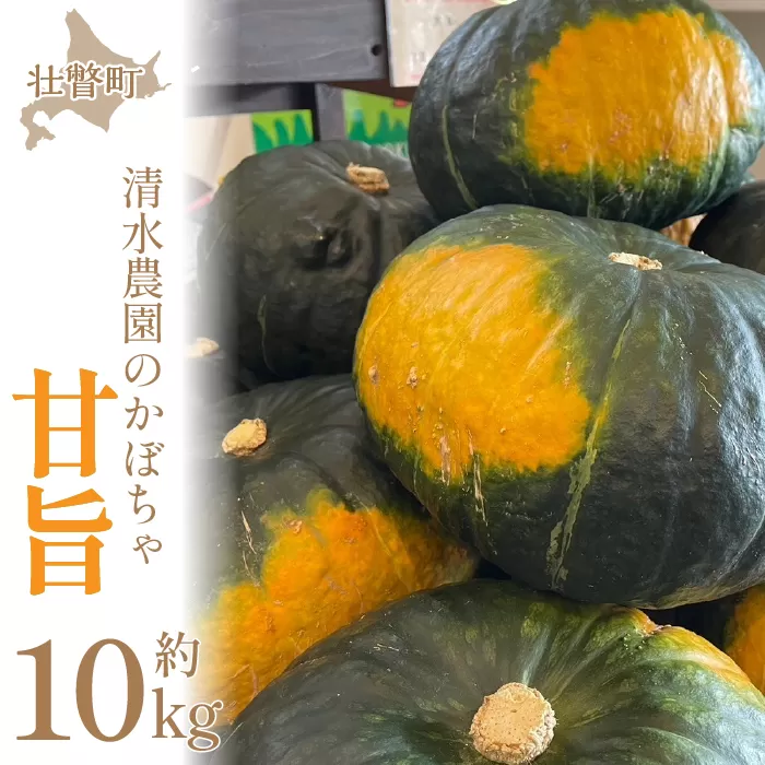 ＜2025年9月初旬よりお届け＞【農園直送】清水農園のかぼちゃ(甘旨）約10kg (4〜6玉) SBTO013