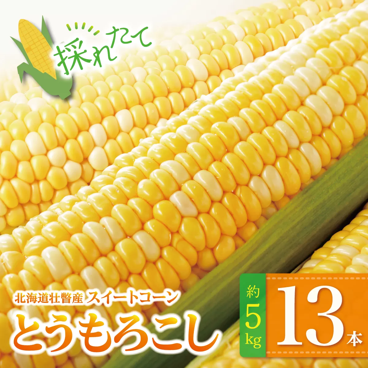 ＜2026年8月上旬よりお届け＞北海道壮瞥産 とうもろこし（スイートコーン）13本 約5kg SBTN001