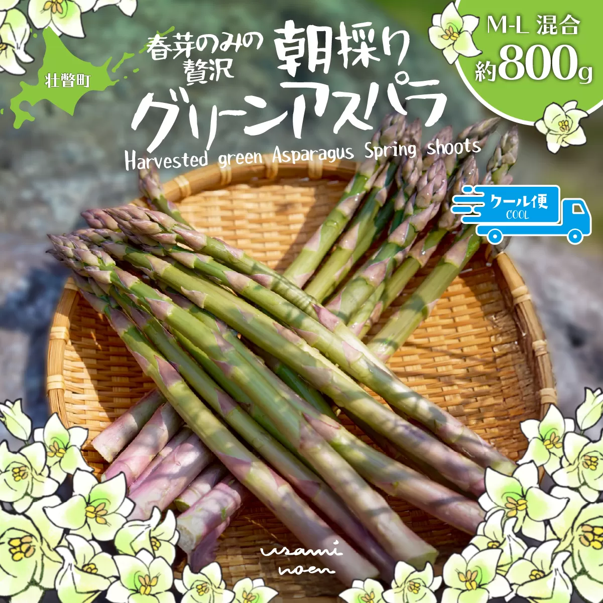 【2026年予約】朝採りグリーンアスパラ（春芽）M-L混合 約800g 北海道壮瞥町産 SBTAJ031