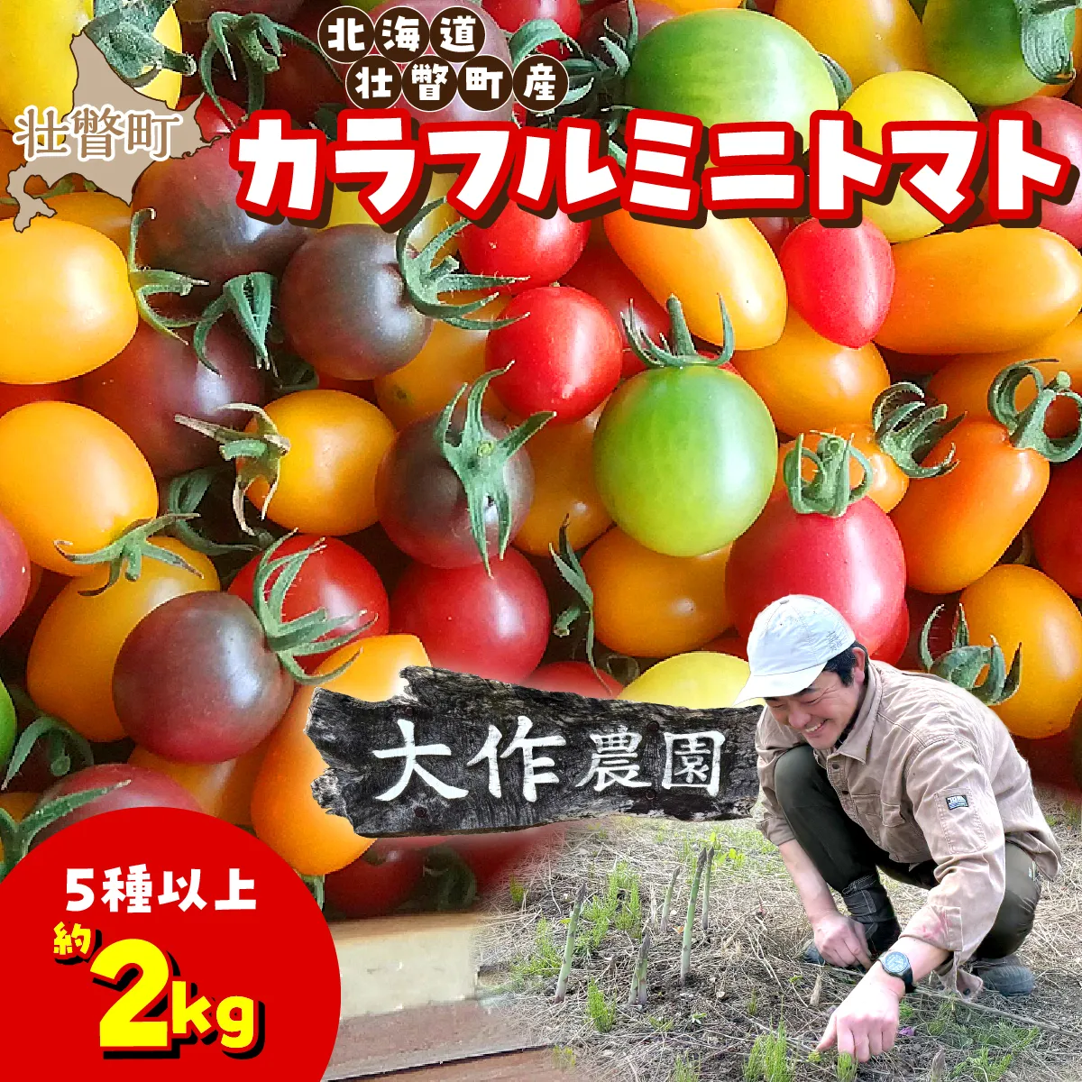 【先行予約】【2027年7月上旬より発送】カラフルミニトマト約2kg(5種以上) 大作農園 北海道壮瞥町 SBTR012