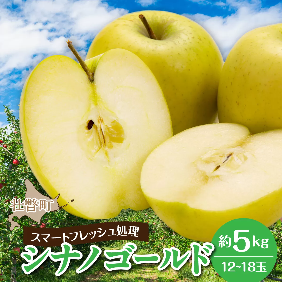 北海道壮瞥町　りんご(スマートフレッシュ)　品種名「シナノゴールド」12～18玉約5kg　SBTF029
