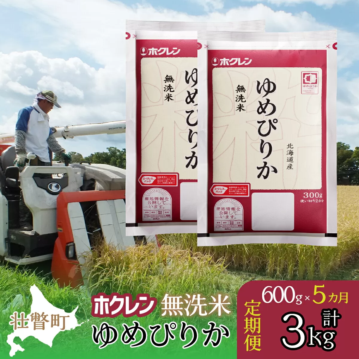 【令和6年産米】【5ヶ月定期配送】（無洗米600g）ホクレンゆめぴりか SBTD154